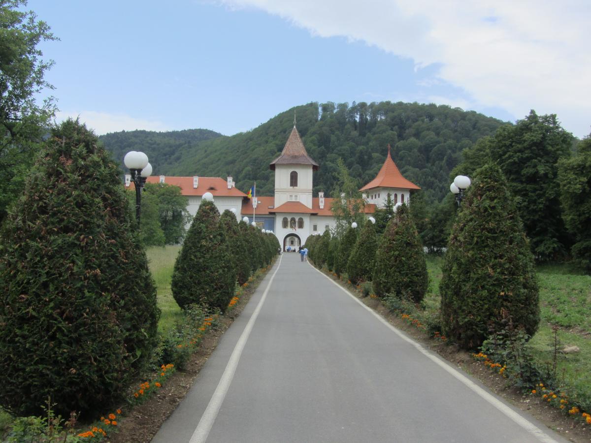 Pensiunea Sophia Statiunea Climaterica Sambata Exterior foto
