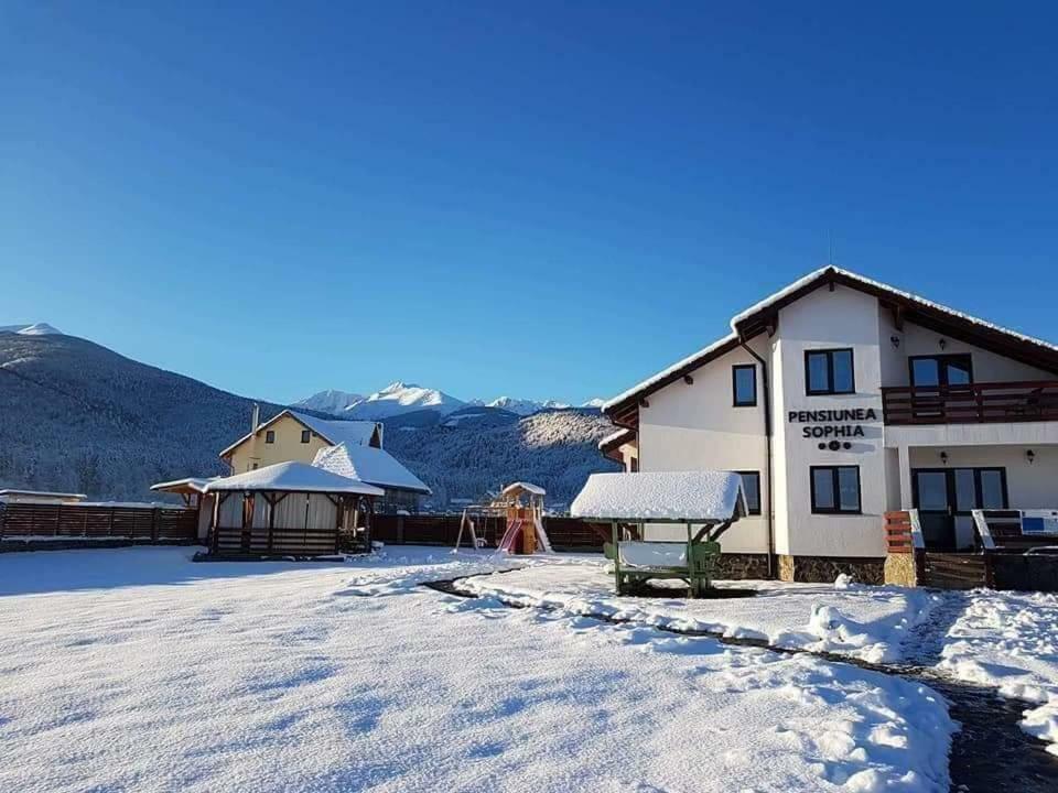 Pensiunea Sophia Statiunea Climaterica Sambata Exterior foto