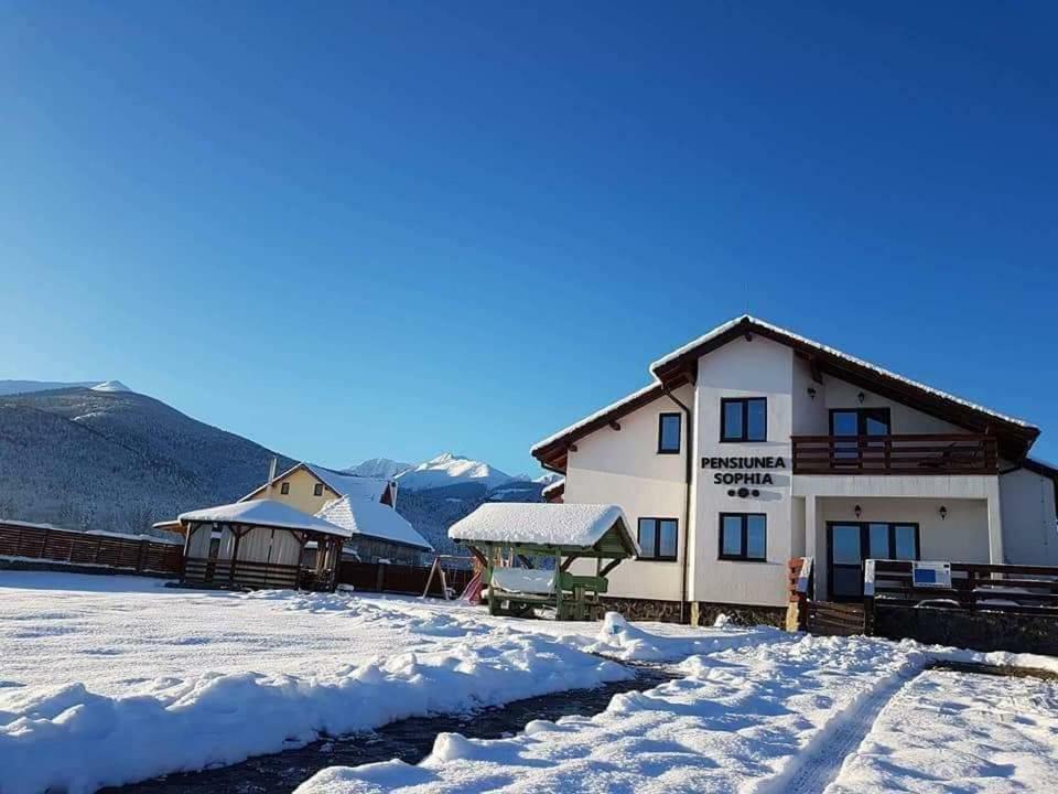 Pensiunea Sophia Statiunea Climaterica Sambata Exterior foto